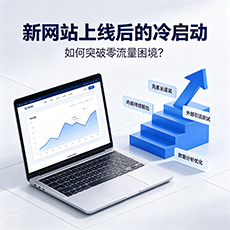 临高建站-新网站上线后的冷启动:如何突破零流量困境?