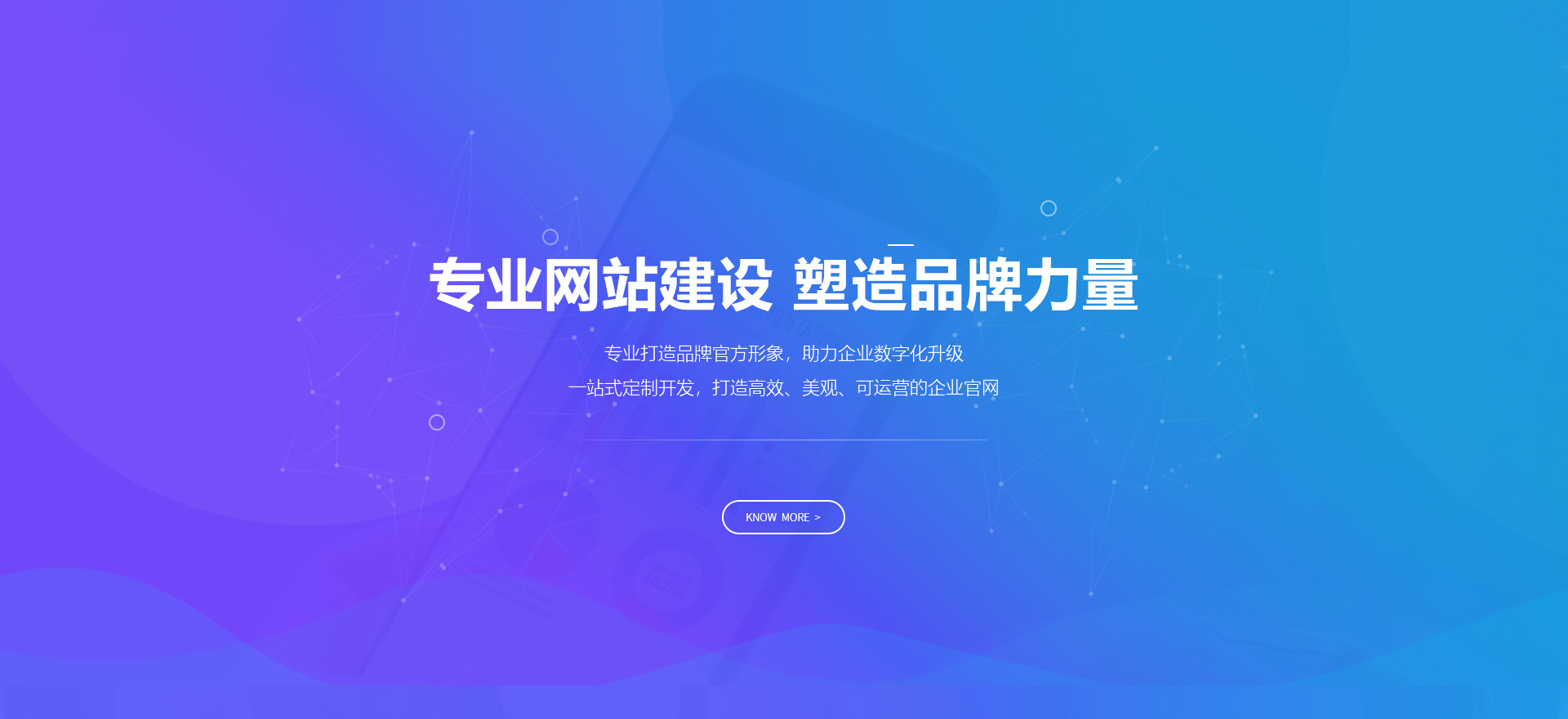 临高建站-专业网站建设 塑造品牌力量