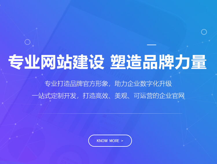 临高建站-专业网站建设 塑造品牌力量
